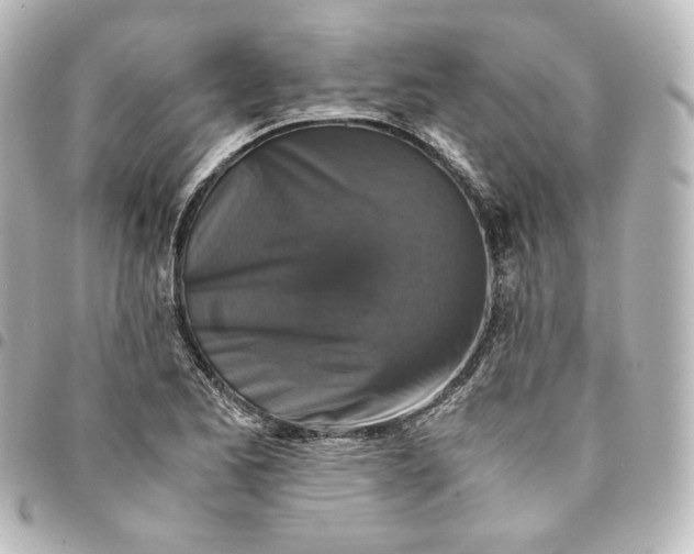 X0000095541173200712281537