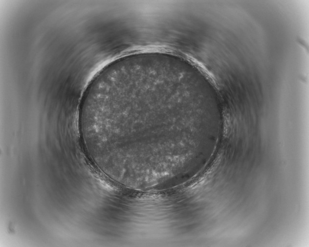 X0000095541174200712281537