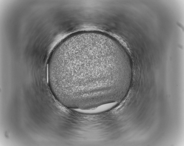 X0000095541175200712281537