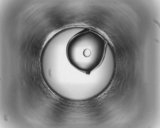 X0000095541176200712281537