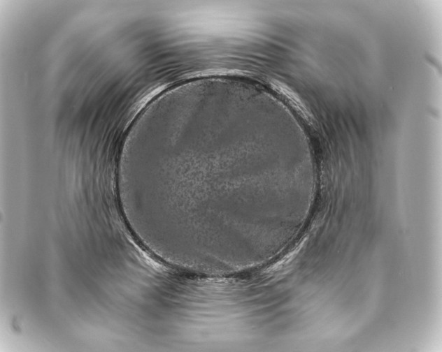 X0000095541177200712281537