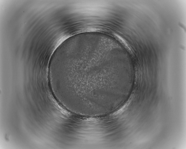 X0000095541178200712281537