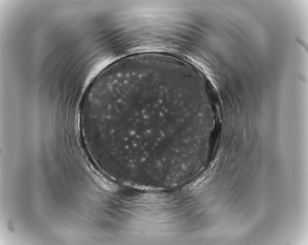 X0000095541179200712281537