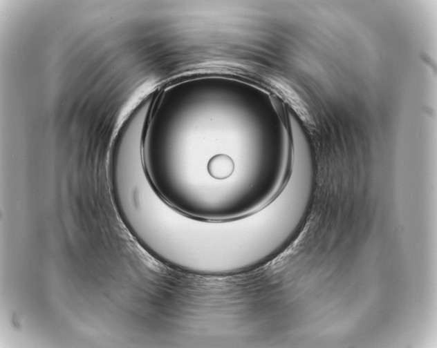 X0000095541180200712281537