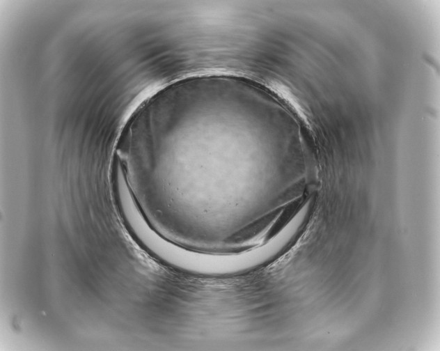 X0000095541181200712281537