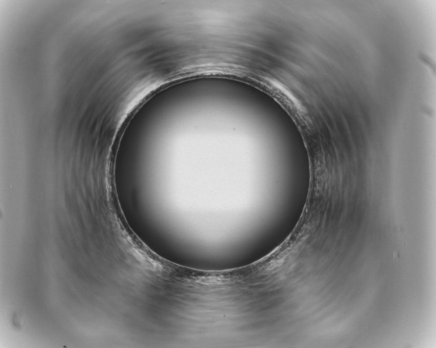 X0000095541182200712281537