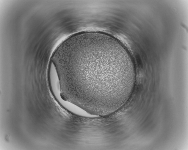 X0000095541183200712281537