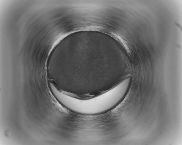 X0000095541184200712281537