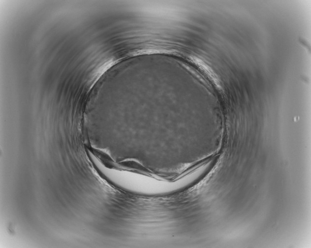 X0000095541185200712281537