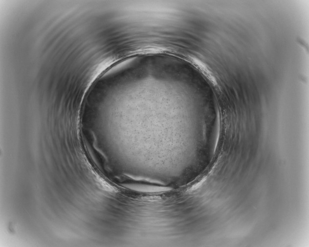 X0000095541186200712281537