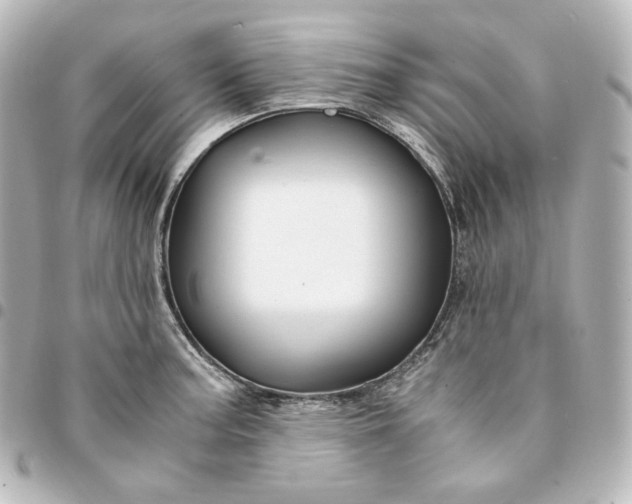 X0000095541187200712281537