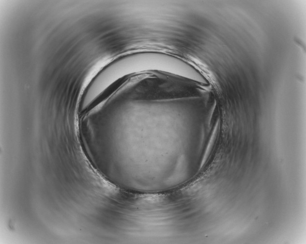 X0000095541188200712281537