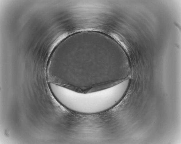 X0000095541189200712281537