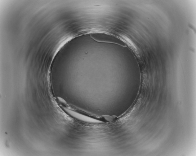 X0000095541190200712281537