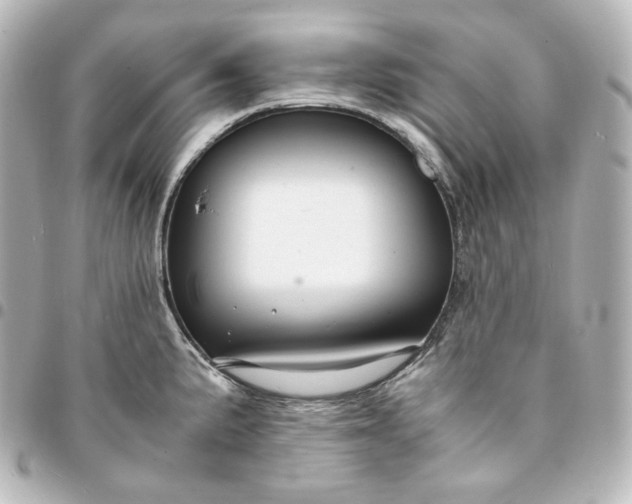 X0000095541191200712281537