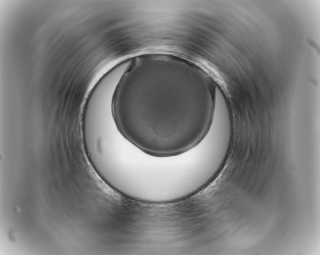 X0000095541192200712281537