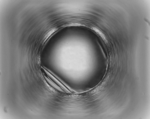 X0000095541193200712281537