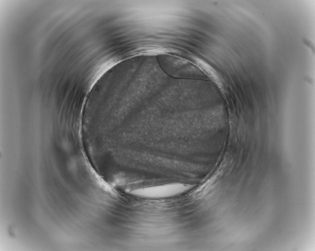 X0000095541194200712281537