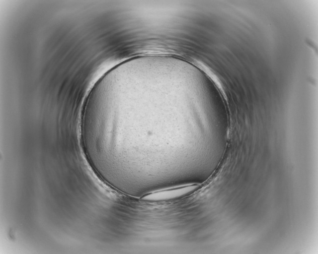 X0000095541195200712281537