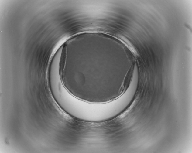 X0000095541196200712281537