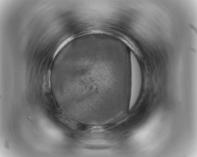 X0000095541198200712281537