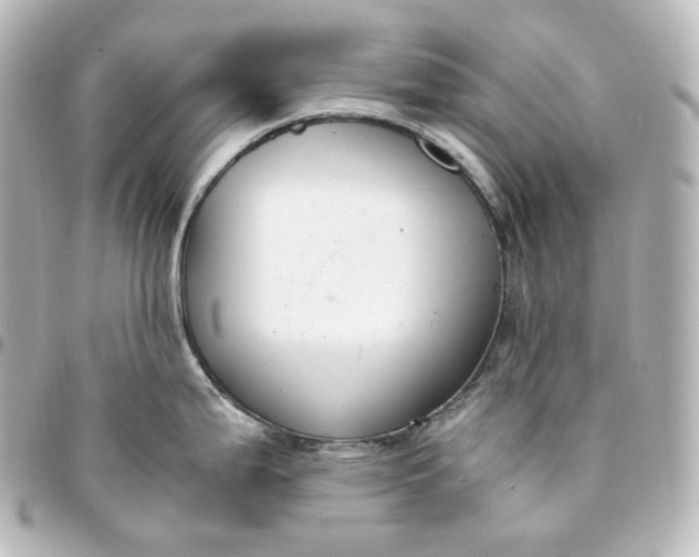 X0000095541199200712281537