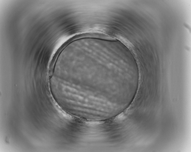 X0000095541200200712281537