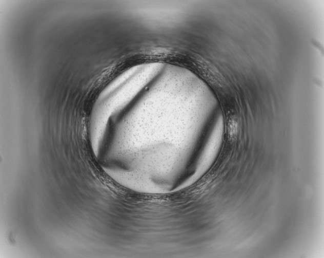 X0000095541204200712281536