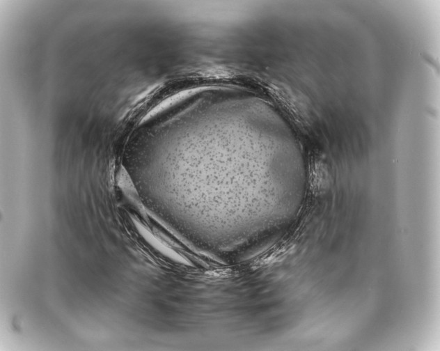 X0000095541205200712281536