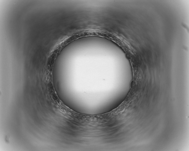 X0000095541207200712281536