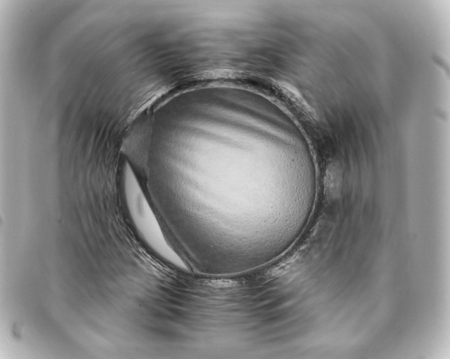 X0000095541209200712281536