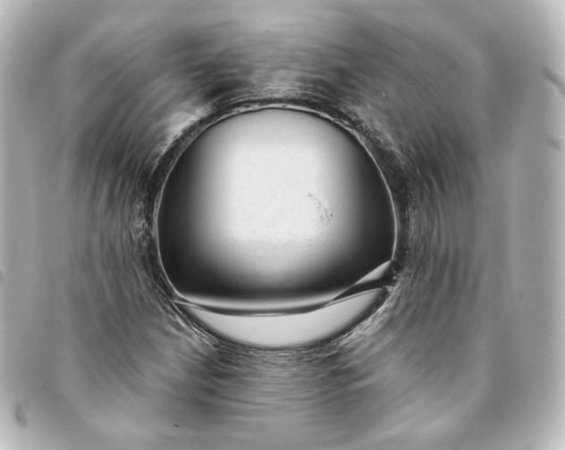 X0000095541210200712281536