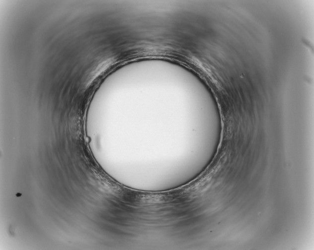 X0000095541211200712281536