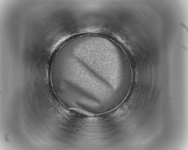 X0000095541214200712281536