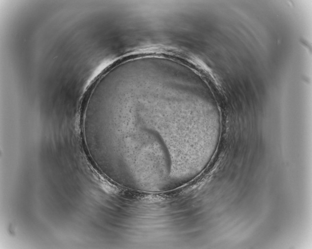 X0000095541216200712281536