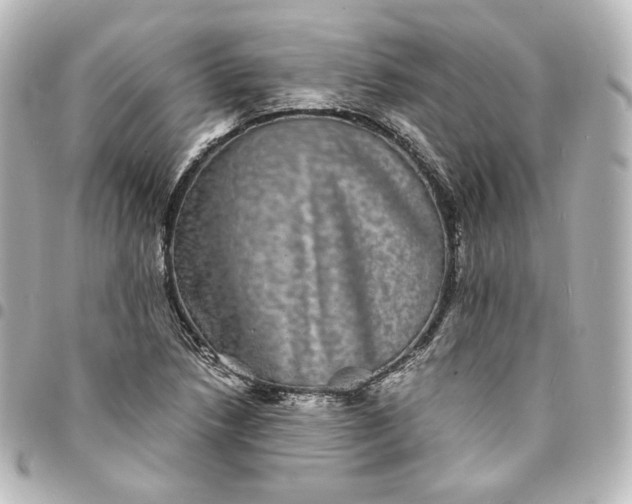 X0000095541218200712281536