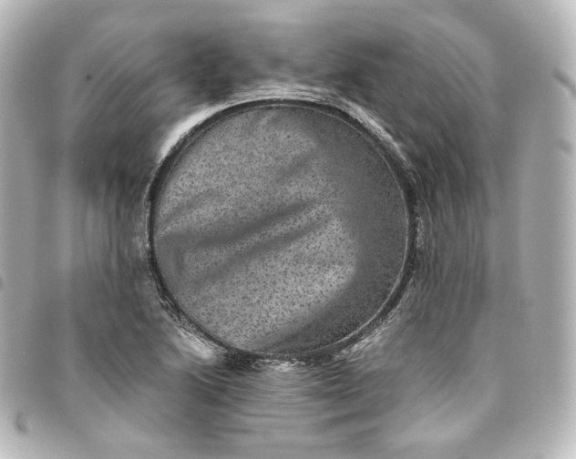 X0000095541222200712281536