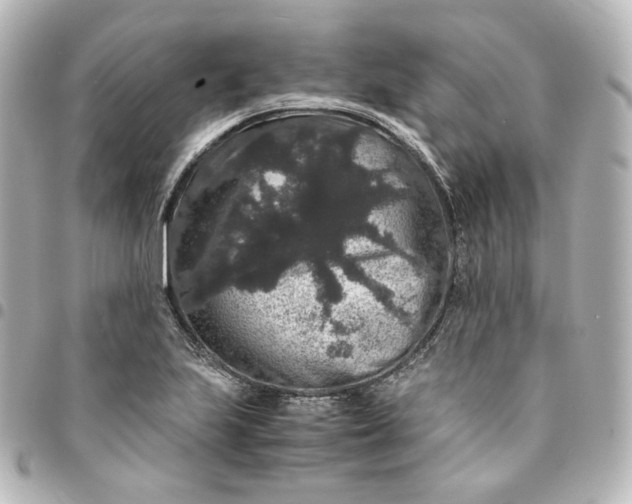 X0000095541223200712281536