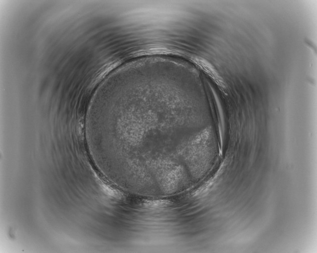 X0000095541225200712281536