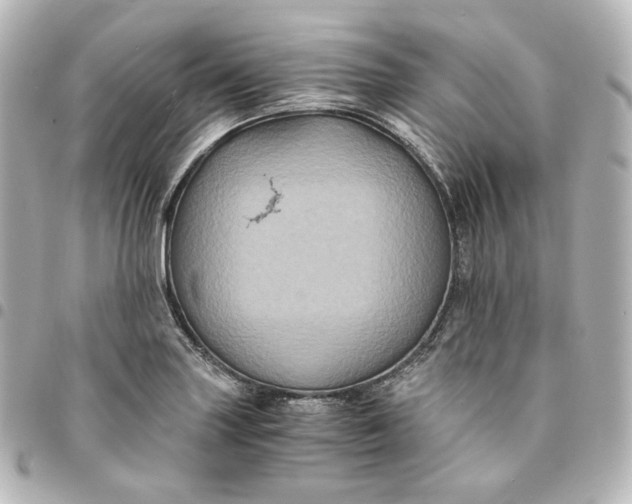 X0000095541227200712281536