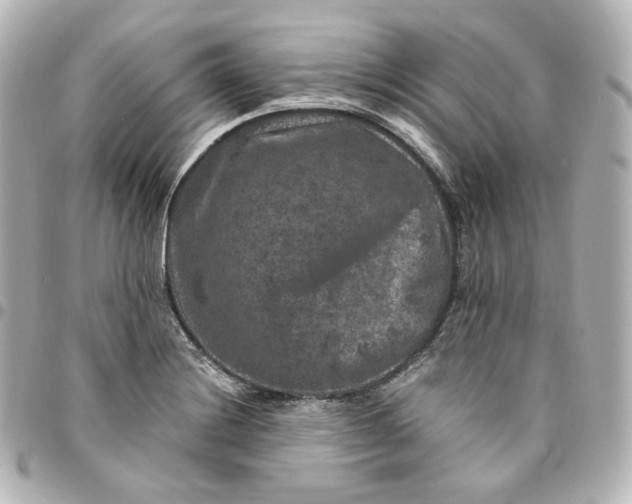 X0000095541228200712281536