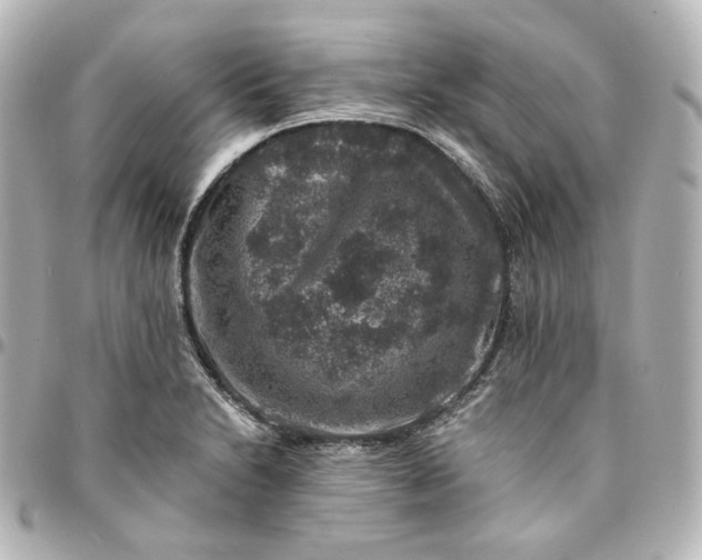 X0000095541230200712281536