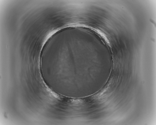 X0000095541231200712281537