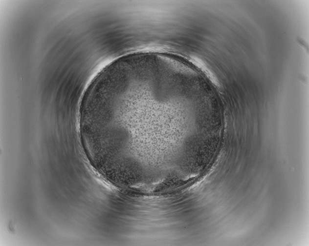 X0000095541232200712281537