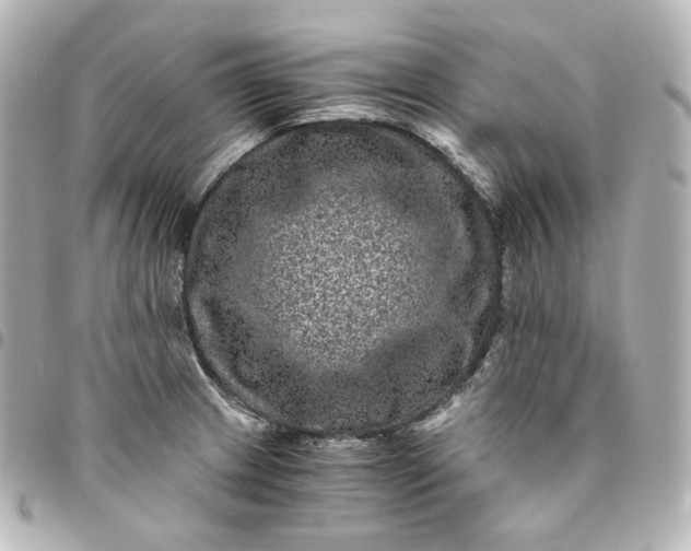 X0000095541233200712281537