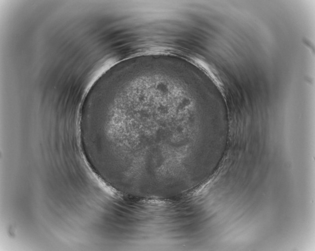 X0000095541235200712281537