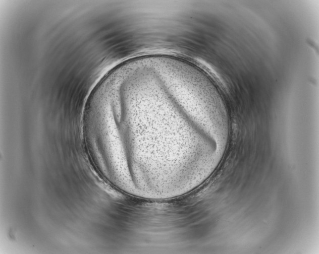 X0000095541236200712281537