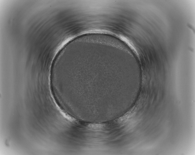 X0000095541237200712281537