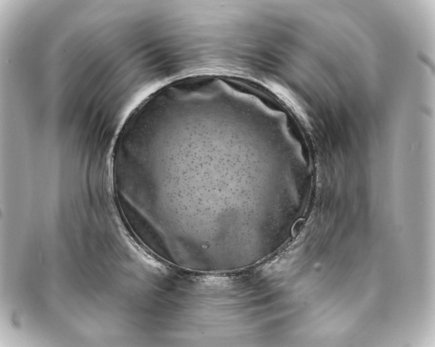 X0000095541238200712281537