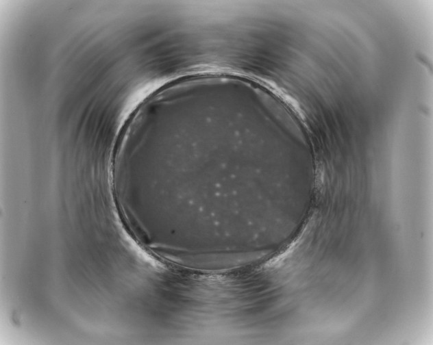 X0000095541239200712281537